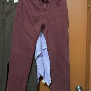 Burgundy Pants